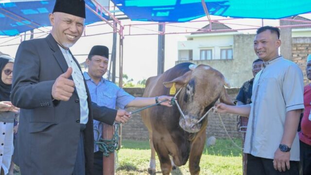 Hewan Kurban Presiden Jokowi dan Gubernur Mahyeldi Ansharullah Dibagikan kepada 800 KK di Sekitar Masjid Raya Sumbar