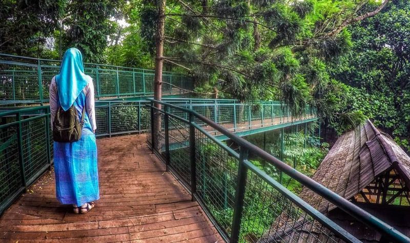 Taman Hutan Babakan Siliwangi