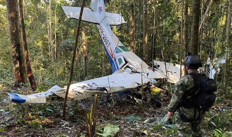 4 Anak Ditemukan Selamat di Hutan Amazon Setelah 40 Hari Kecelakaan Pesawat