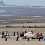 Paus Raksasa Terdampar di Pantai Inggris, Penduduk Diperingatkan untuk Menjauh