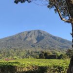 Gunung Dempo Erupsi: Update Terkini dari Pos Pemantau Gunung Api