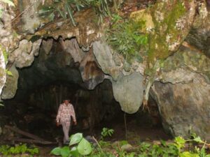 Seruan untuk Menyelamatkan Gua Lida Ajer: Situs Manusia Modern Tertua ASEAN di Ujung Lelang Eksekusi
