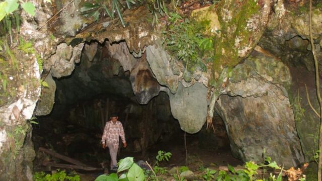 Seruan untuk Menyelamatkan Gua Lida Ajer: Situs Manusia Modern Tertua ASEAN di Ujung Lelang Eksekusi