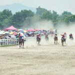 Lomba Pacuan Kuda Piala Gubernur Sumbar Oktober Mendatang: Tradisi dan Harapan Baru Wisata Sumatera Barat