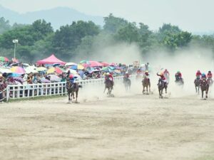 Lomba Pacuan Kuda Piala Gubernur Sumbar Oktober Mendatang: Tradisi dan Harapan Baru Wisata Sumatera Barat