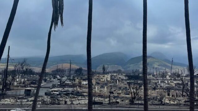 Update Tragedi Kebakaran Maui, Hawaii: 67 Orang Meninggal, Sistem Peringatan yang Tidak Berfungsi Diselidiki