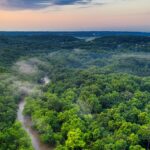30 Tahun Lagi, Hutan Sumbar Punah? Yozarwardi, Kepala Dinas Kehutanan Sumbar Beri Isyarat Lewat Lagu!