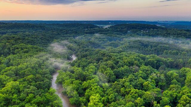 30 Tahun Lagi, Hutan Sumbar Punah? Yozarwardi, Kepala Dinas Kehutanan Sumbar Beri Isyarat Lewat Lagu!