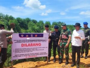 Warga Air Bangis Pasaman Barat Kini Dilarang Menggarap Hutan, Pemda Tancapkan Plang Larangan
