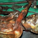 Terungkap! Wajah Asli Ötzi Manusia Es: Bukan Berkulit Terang, Tapi Gelap!