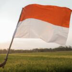 Kamis, 17 Agustus 2023, Indonesia merayakan hari kemerdekaan ke-78. Upacara dilaksanakan di semua daerah. Tak terkecuali di Sumatera Barat (Sumbar). Berikut rangkuman ragam kegiatan peringatan HUT RI ke-78 di Sumatera Barat.