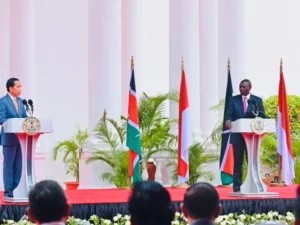 Kerja Sama Indonesia-Kenya: Menjajaki Potensi Perdagangan dan Investasi Energi Terbarukan