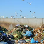 Krisis Sampah di Padang: Wali Kota Instruksikan Tertibkan TPS Liar