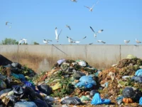 Krisis Sampah di Padang: Wali Kota Instruksikan Tertibkan TPS Liar