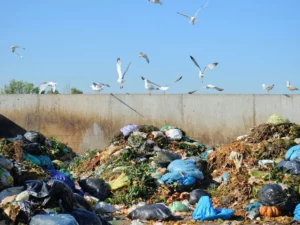 Krisis Sampah di Padang: Wali Kota Instruksikan Tertibkan TPS Liar