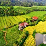 Antisipasi Dampak El Nino: Gubernur Sumbar Mendesak TPID untuk Lindungi Stabilitas Harga Pangan