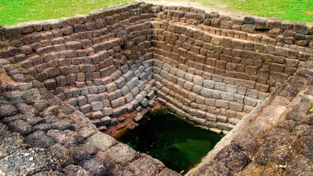 Batu Bata Kuno 2.900 Tahun Ungkap DNA Tumbuhan Kuno: Jendela ke Keanekaragaman Hayati Masa Lalu