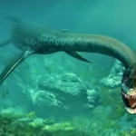 Penemuan Heboh: Fosil Makhluk Laut Purba Zaman Jurassic Ditemukan di Texas