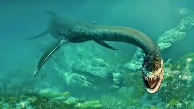 Penemuan Heboh: Fosil Makhluk Laut Purba Zaman Jurassic Ditemukan di Texas