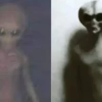 Pria Ini Ungkap Foto Alien di Meksiko: Misteri di Balik Penampakan
