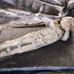 Misteri Kontaminasi Plester pada Cetakan Korban Letusan Pompeii Terungkap