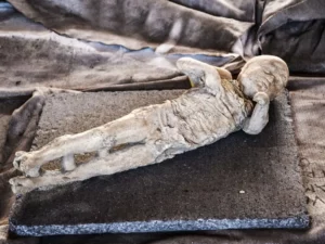 Misteri Kontaminasi Plester pada Cetakan Korban Letusan Pompeii Terungkap