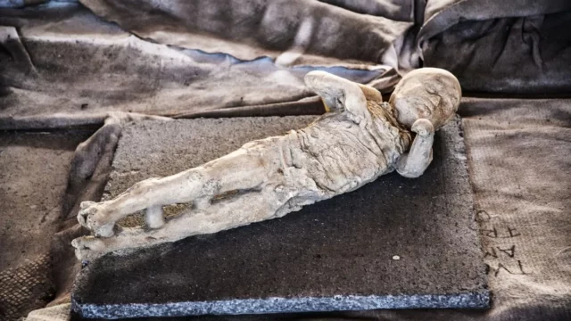 Misteri Kontaminasi Plester pada Cetakan Korban Letusan Pompeii Terungkap