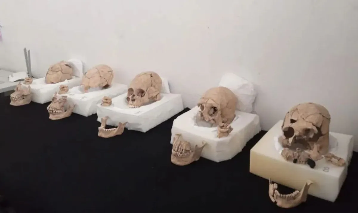 Penemuan Misterius di Piramida Maya: Tengkorak Terdeformasi dan Ritual Pemenggalan Kepala