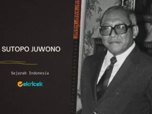 Sutopo Juwono: Tokoh Militer dan Pendiri Badan Rahasia Negara