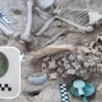 Misteri Gadis Zaman Perunggu Kazakhstan: Ditemukan Bersama 180 Tulang Kaki Hewan dan Disk Perunggu Bergambar Katak