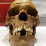 Tengkorak yang Dicuri Jerman Akhirnya 'Bicara' Lewat DNA: Kerabat Hidup Ditemukan di Tanzania Afrika