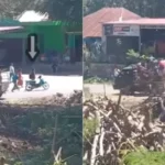 Tradisi Kawin Tangkap di Sumba Barat Daya: Antara Adat dan Kontroversi di Era Digital