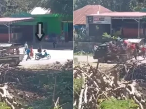 Tradisi Kawin Tangkap di Sumba Barat Daya: Antara Adat dan Kontroversi di Era Digital