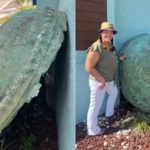 Misteri Penemuan "Kuali" di Florida, Diduga Bagian dari Kapal Selam Abad ke-17