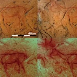 Teknik Kuno Ungkap Seni Gua Paleolitik 3D yang Tersembunyi