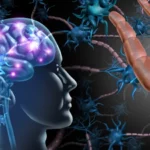 Sel Molekuler Baru di Otak Manusia Terungkap: Antara Neuron dan Astrocyte