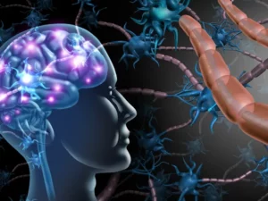 Sel Molekuler Baru di Otak Manusia Terungkap: Antara Neuron dan Astrocyte