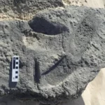 Penelitian terbaru mengungkap jejak kuno di Pantai Cape, Afrika Selatan, yang mungkin menjadi bukti tertua penggunaan alas kaki oleh manusia.