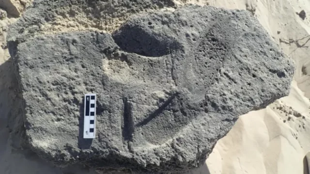 Penelitian terbaru mengungkap jejak kuno di Pantai Cape, Afrika Selatan, yang mungkin menjadi bukti tertua penggunaan alas kaki oleh manusia.