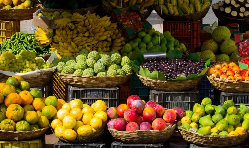 Sebuah penelitian terbaru menunjukkan bahwa program resep buah dan sayur gratis dapat meningkatkan konsumsi buah dan sayur, serta memberikan manfaat kesehatan yang signifikan, termasuk tekanan darah dan gula darah yang lebih rendah.