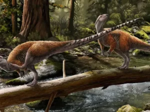 Peneliti mengungkap spesies dinosaurus herbivora kecil baru di Isle of Wight, menandai keanekaragaman dinosaurus Eropa yang berbeda dari Asia dan Amerika Utara.