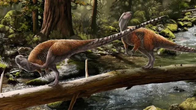 Peneliti mengungkap spesies dinosaurus herbivora kecil baru di Isle of Wight, menandai keanekaragaman dinosaurus Eropa yang berbeda dari Asia dan Amerika Utara.