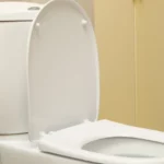 Toilet cetak 3D baru dari Tiongkok menawarkan solusi hemat air dengan permukaan super licin yang inovatif.