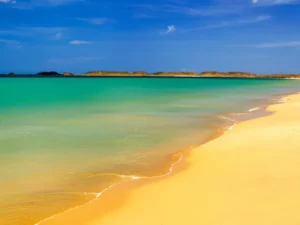 Gelombang Panas Laut Lebih Intens di Kedalaman: Ancaman Baru bagi Biodiversitas Laut