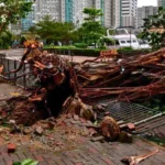 Topan Saola Meluluhlantakkan Guangdong, Hong Kong, dan Macau