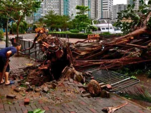 Topan Saola Meluluhlantakkan Guangdong, Hong Kong, dan Macau