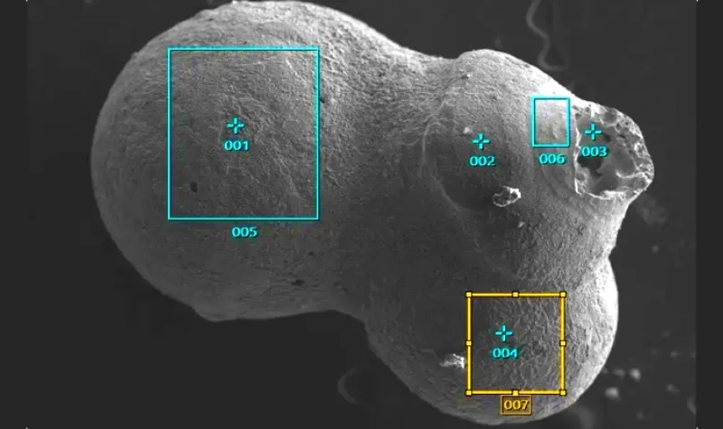 Misteri Bola Kecil dari Luar Tata Surya Ditemukan di Laut Papua Nugini