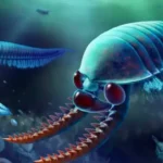 Monster Fosil Tiga Mata: Penemuan 520 Juta Tahun Lalu Ungkap Evolusi Hewan Purba