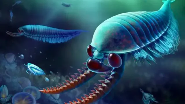 Monster Fosil Tiga Mata: Penemuan 520 Juta Tahun Lalu Ungkap Evolusi Hewan Purba