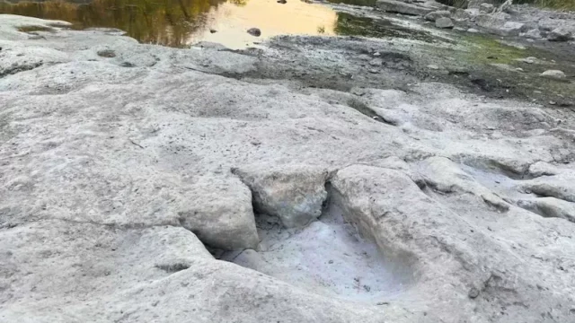Jejak Dinosaurus Terpanjang di Dunia Terungkap Akibat Kemarau di Taman Negara Texas